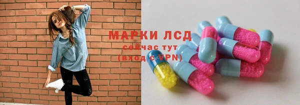индика Алексеевка