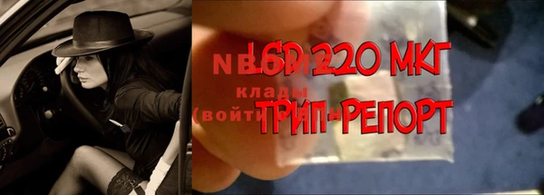 эйфоретик Абинск